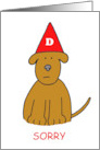 Sorry I Have Been an Idiot Please Forgive Me Cute Dog in Dunce Hat card