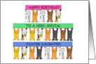 Happy Birthday to Foster Daughter Cute Cartoon Cats Holding Banners card