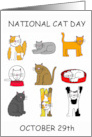 Happy National Cat Day October 29th Cute Cartoon Cats card