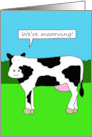 Moving House New Home New Premises Humorous Cow Illustration card