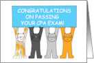 Congratulations on Passing Your CPA Exam Cartoon Cats and Banner card