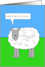 Korean New Year of the Sheep Cartoon Humor card