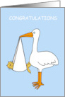 Congratulations New Pet Kitten or Cat Fur Baby Cartoon Stork Humor card