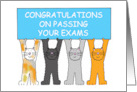 Congratulations on Passing Your Exams Cute Cats Holding a Banner card