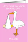 Congratulations Baby Naming Day for a Girl Cartoon Stork card