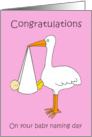 Baby Naming Day Congratulations for a Girl Cartooon Stork with Baby card