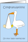 Baby Naming Day Congratulations for a Boy Cartoon Stork card