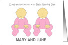 Twin Girls Baby Naming Day Congratulations to Personalize any Names card