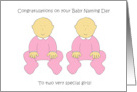 Twin Girls Naming Day Congratulations Cartoon Babies card