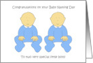 Twin Boys Naming Day Congratulations Cute Cartoon Babies card