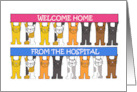 Welcome Home from the Hospital Cartoon Cats Holding Up Banners card