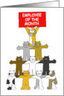 Employee of the Month Congratulations Cartoon Cats card