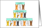 Happy Birthday from Arkansas Cute Cartoon Cats Holding Banners card
