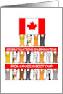 Graduation from Canadian Boot Camp Congratulations Cartoon Cats card