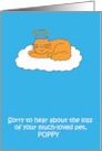 Loss of Pet Cat Sympathy Cartoon to Personalize with any Pet Name card