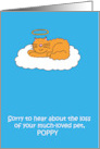 Loss of Pet Cat Sympathy Cartoon to Personalize with any Pet Name card