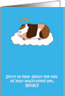 Loss of Guinea Pig Sympathy to Personalize Cute Pet with Halo card