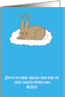 Sympathy On Loss of Pet Rabbit to Personalize with Any Name card