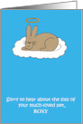 Sympathy On Loss of Pet Rabbit to Personalize with Any Name card