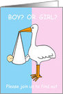 Gender Reveal Party Invitation for baby, cute stork. card