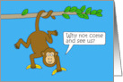 National Visit the Zoo Day December 27th Cute Cartoon Monkeys card