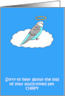 Loss of Pet Bird Sympathy to Personalize with any Name Illustration card