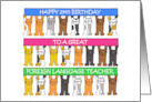 Happy 29th Birthday to Foreign Language Teacher card
