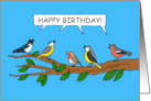 Happy Birthday Birdwatcher Cartoon Birds on a Branch card