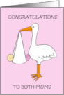 Congratulations to Lesbian Couple Birth of Baby Girl Cartoon Stork card