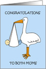 Congratulations to Lesbian Couple, Birth of Baby Boy, Cartoon Stork. card