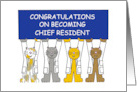 Congratulations on Becoming Chief Resident Cats Wearing White Coats card