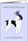 Happy First Birthday to Granddog Sheepadoodle card