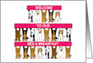 Welcome to Our Bed and Breakfast Cartoon Dogs Holding Up Banners card