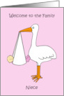 Welcome to the Family Niece Cartoon Stork and Baby Girl card