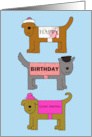 Happy Birthday Great Nephew Cartoon Dogs card
