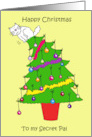 Happy Christmas to Secret Pal Cartoon White Cat Up a Festive Tree card