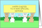 Happy Easter to Nephew Cartoon Bunnies Eating Carrots card