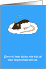 Sympathy on Loss of Pet Rat card