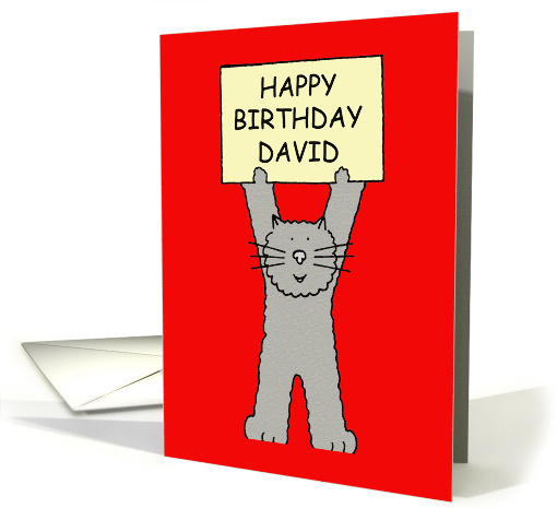 Happy Birthday David Grey Cat Standing on His Back Paws card (1098792)