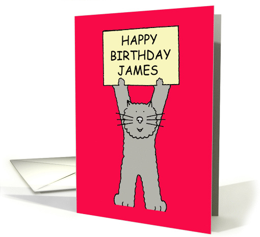 Happy Birthday James Giant Cartoon Cat Holding a Banner card (1098794)