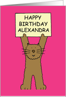 Happy Birthday Alexandra Cartoon Cat Holding a Banner Up card