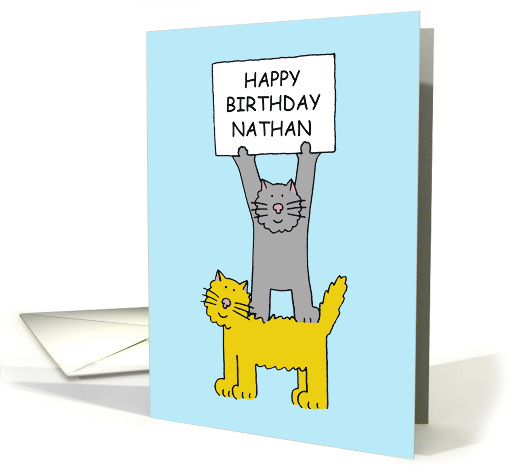 Happy Birthday Nathan Two Cute Cartoon Cats Having Fun card (1100710)