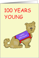 Happy 100th Birthday Cartoon Terrier Dog in Cute Coat card
