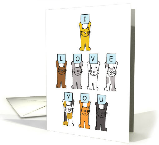 Valentine from Pet Cat Cartoon Cats Holding I love You Letters card