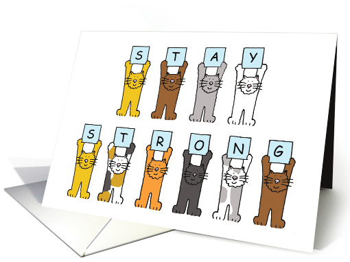 Cats Holding Up Cards Saying Stay Strong Encouragement & Support card