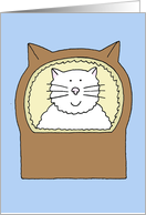 Congratulations New Pet Cat White Cartoon Cat in Cute Basket card