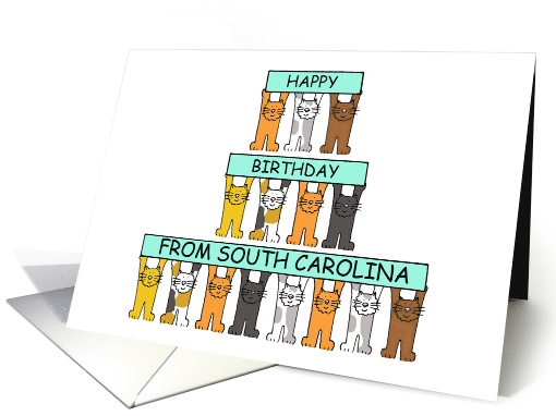 Happy Birthday from South Carolina Cartoon Cats Holding Banners card