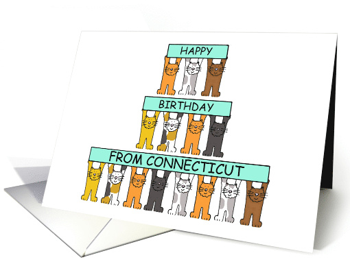 Happy Birthday from Connecticut Cartoon Cats Holding Up Banners card