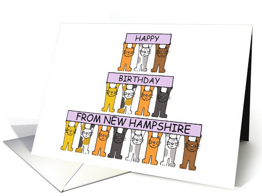 Happy Birthday from New Hampshire Cartoon Cats Holding Banners Up card