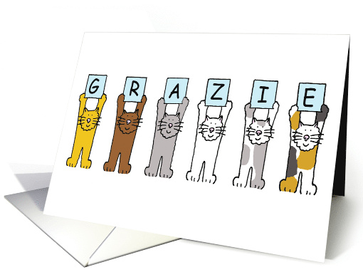 Grazie Thank You in Italian Cartoon Cats Holding Up Letters card